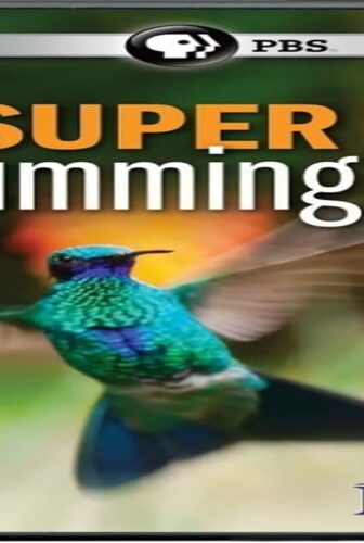 فيلم Super Hummingbirds 2016 مترجم