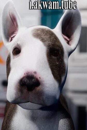 فيلم Jurassic Bark 2018 مترجم