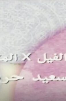 فيلم ‬الفيل في المنديل : سعيد حركات 2011