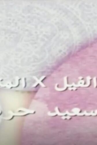 فيلم ‬الفيل في المنديل : سعيد حركات 2011