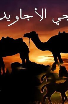 فيلم مهاجي الأجاويد 2009