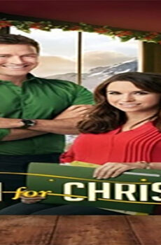 فيلم A Wish For Christmas 2016 مترجم