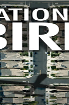 فيلم National Bird 2016 مترجم