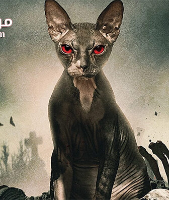 فيلم Pet Graveyard 2019 مترجم