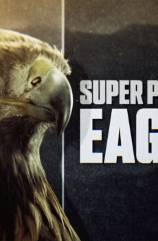 فيلم Super Powered Eagles 2020 مترجم