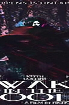فيلم Awake in the Woods 2015 مترجم