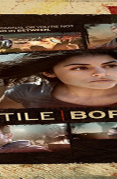 فيلم Hostile Border 2015 مترجم