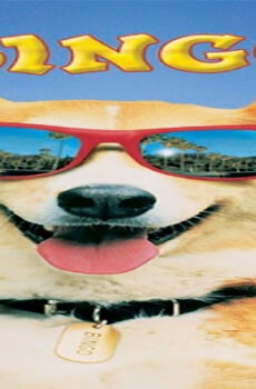 فيلم Bingo 1991 مترجم
