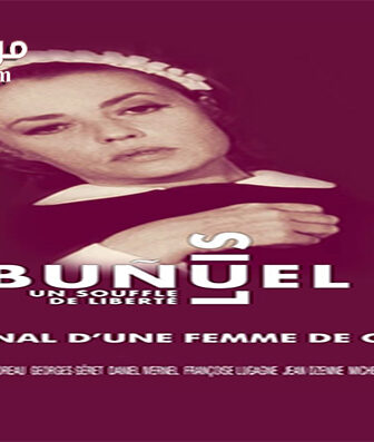 فيلم Diary of a Chambermaid 1964 مترجم