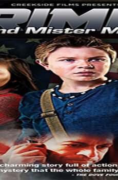 فيلم Crimes and Mister Meanors 2015 مترجم