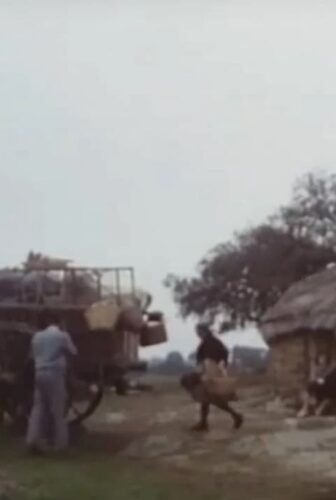 فيلم The Holy Innocents 1984 مترجم