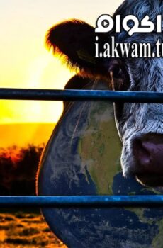 فيلم Cowspiracy The Sustainability Secret 2014 مترجم