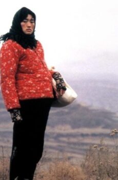 فيلم The Story of Qiu Ju 1992 مترجم