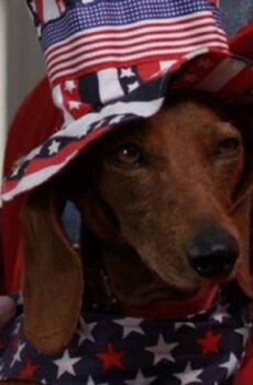 فيلم Wiener Dog Internationals 2015 مترجم