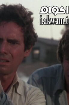 فيلم Bug 1975 مترجم