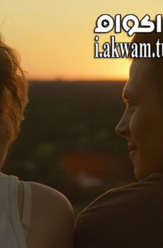 فيلم Love at First Fight 2014 مترجم