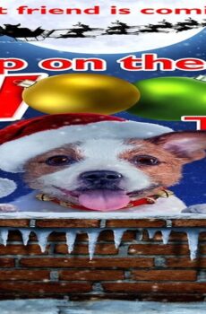فيلم Up on the Wooftop 2016 مترجم