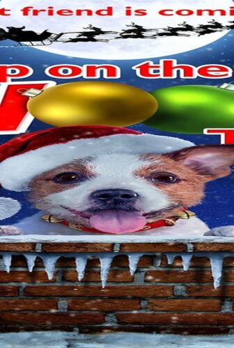 فيلم Up on the Wooftop 2016 مترجم