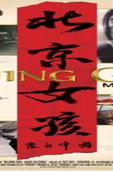 فيلم Made in China 2009 مترجم