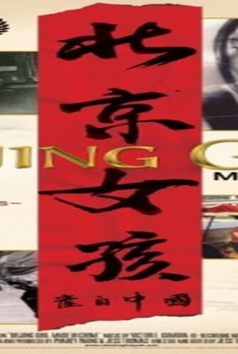 فيلم Made in China 2009 مترجم
