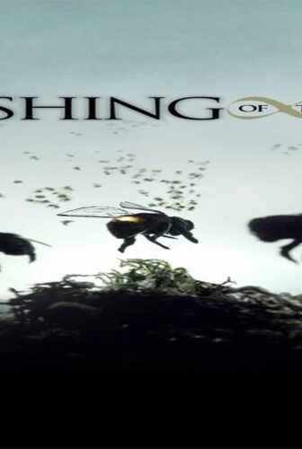 فيلم Vanishing of the Bees 2009 مترجم