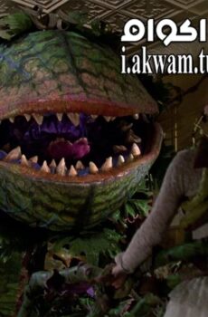 فيلم Little Shop of Horrors 1986 مترجم
