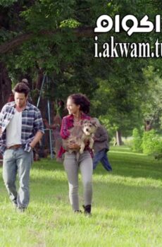 فيلم Night of the Wild 2015 مترجم