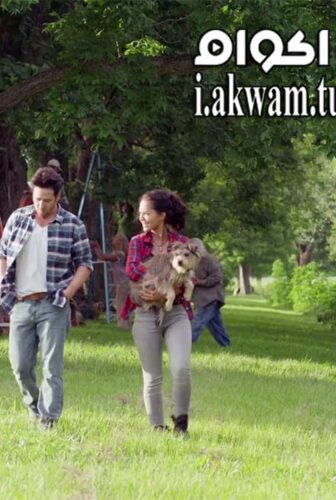 فيلم Night of the Wild 2015 مترجم