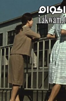 فيلم Late Autumn 1960 مترجم