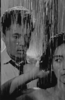 فيلم The Housemaid 1960 مترجم