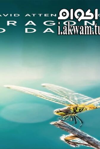 فيلم Dragons and Damsels 2020 مترجم