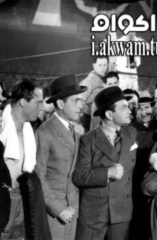فيلم Kid Galahad 1937 مترجم