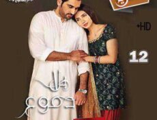 مسلسل بلا دموع الحلقة 12 مترجمة