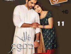 مسلسل بلا دموع الحلقة 11 مترجمة