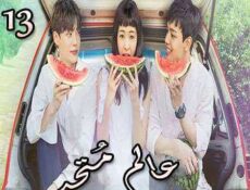 مسلسل عالم مُتحد الحلقة 13
