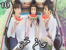 مسلسل عالم مُتحد الحلقة 16