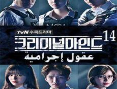 مسلسل عقول إجرامية الحلقة 14