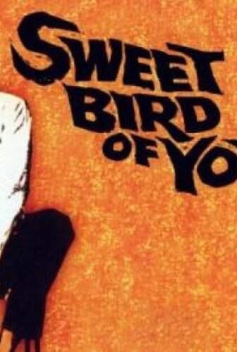 فيلم Sweet Bird of Youth 1962 مترجم