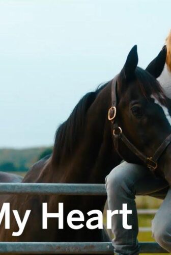 فيلم Rock My Heart 2017 مترجم