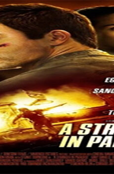 فيلم A Stranger in Paradise 2013 مترجم