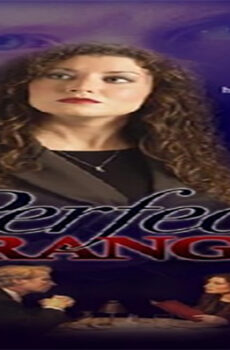 فيلم The Perfect Stranger 2005 مترجم