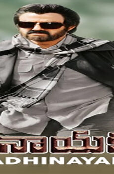 فيلم Adhinayakudu 2012 مترجم