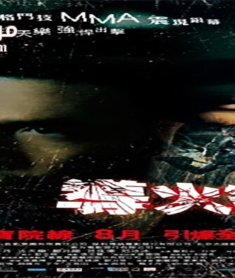 فيلم Flash Point 2007 مترجم