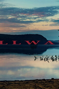 فيلم Stillwater 2018 مترجم
