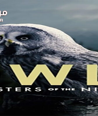 فيلم Masters of the Night 2020 مترجم