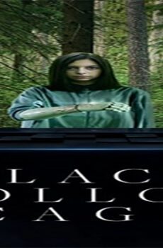 فيلم Black Hollow Cage 2017 مترجم