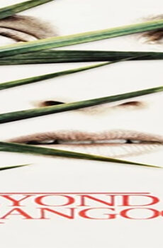 فيلم Beyond Rangoon 1995 مترجم