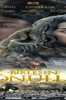 فيلم Birlesen Gonuller 2014 مترجم