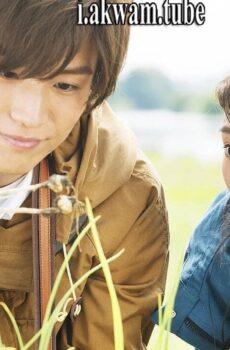 فيلم Evergreen Love 2016 مترجم