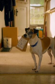 فيلم Treasure Hounds 2017 مترجم